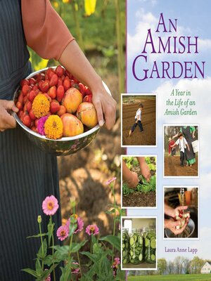 cover image of Amish Garden